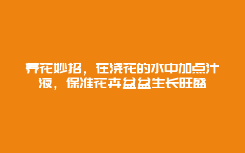 养花妙招，在浇花的水中加点汁液，保准花卉盆盆生长旺盛