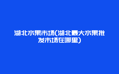 湖北水果市场(湖北最大水果批发市场在哪里)