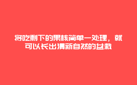 将吃剩下的果核简单一处理，就可以长出清新自然的盆栽