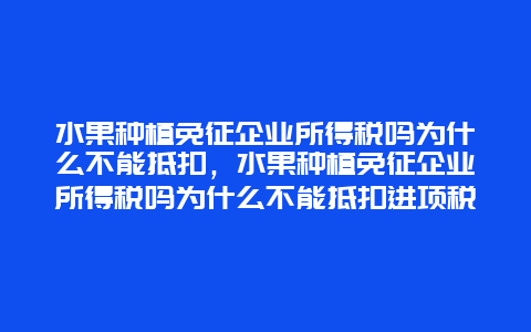 水果种植免征企业所得税吗为什么不能抵扣，水果种植免征企业所得税吗为什么不能抵扣进项税