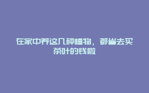 在家中养这几种植物，都省去买茶叶的钱啦