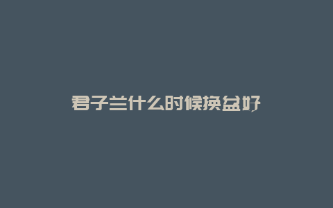 君子兰什么时候换盆好