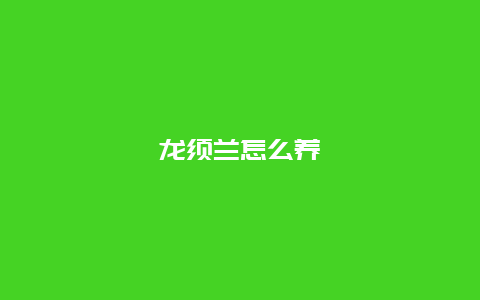 龙须兰怎么养