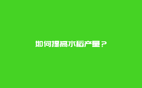 如何提高水稻产量？