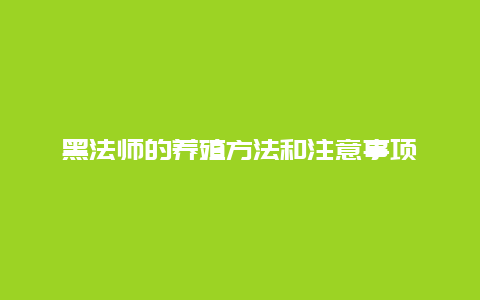 黑法师的养殖方法和注意事项