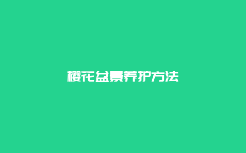 樱花盆景养护方法