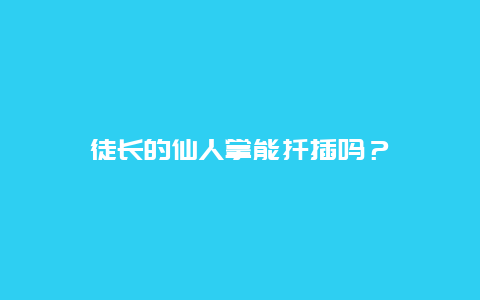 徒长的仙人掌能扦插吗？