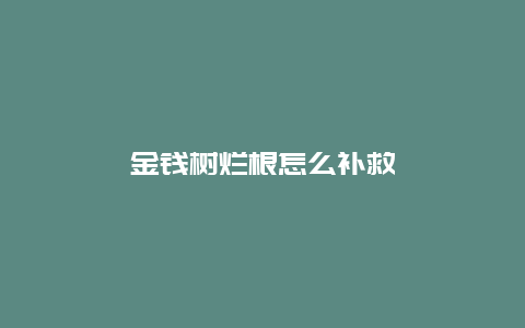 金钱树烂根怎么补救