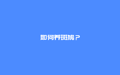 如何养斑鸠？