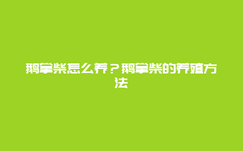 鹅掌柴怎么养？鹅掌柴的养殖方法