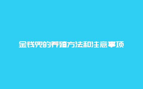 金钱兜的养殖方法和注意事项