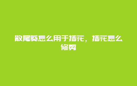 散尾葵怎么用于插花，插花怎么修剪