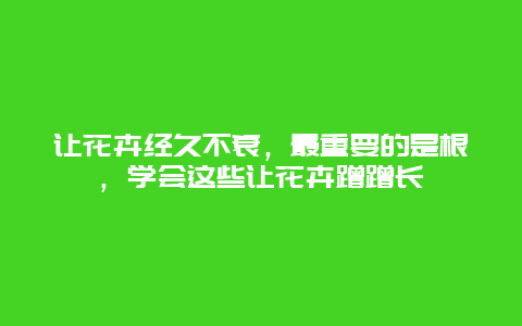 让花卉经久不衰，最重要的是根，学会这些让花卉蹭蹭长