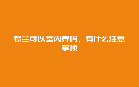 铃兰可以室内养吗，有什么注意事项