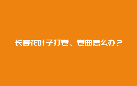 长春花叶子打卷、卷曲怎么办？