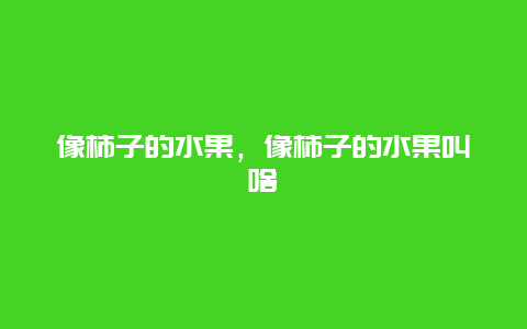 像柿子的水果，像柿子的水果叫啥