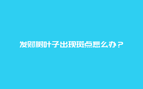 发财树叶子出现斑点怎么办？