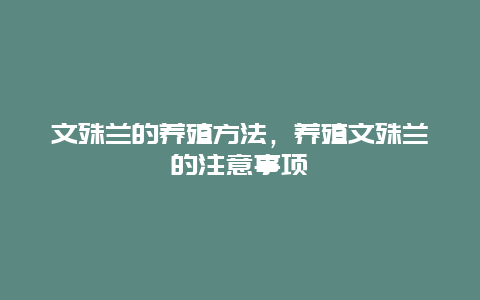 文殊兰的养殖方法，养殖文殊兰的注意事项