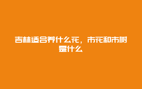 吉林适合养什么花，市花和市树是什么