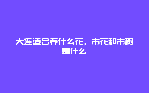 大连适合养什么花，市花和市树是什么