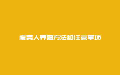 虞美人养殖方法和注意事项