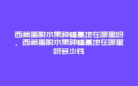 西藏墨脱水果种植基地在哪里呀，西藏墨脱水果种植基地在哪里呀多少钱