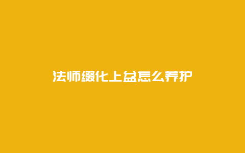 法师缀化上盆怎么养护