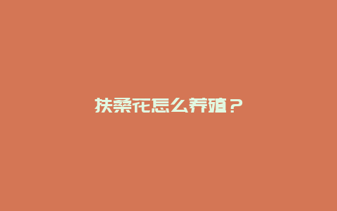 扶桑花怎么养殖？