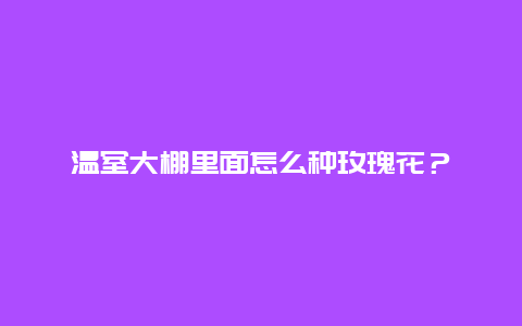 温室大棚里面怎么种玫瑰花？