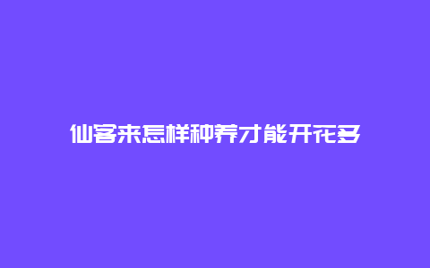 仙客来怎样种养才能开花多