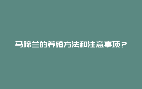 马蹄兰的养殖方法和注意事项？