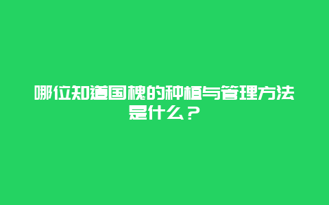 哪位知道国槐的种植与管理方法是什么？