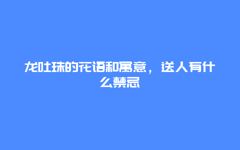 龙吐珠的花语和寓意，送人有什么禁忌