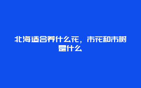 北海适合养什么花，市花和市树是什么