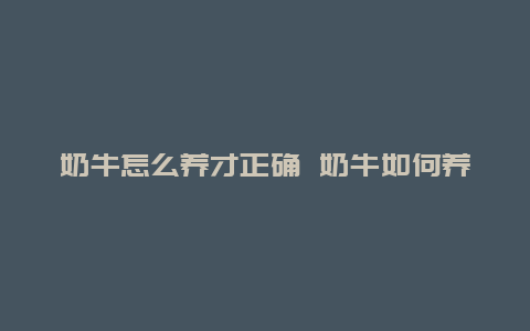 奶牛怎么养才正确 奶牛如何养