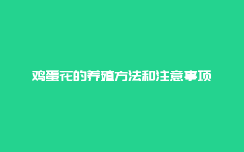 鸡蛋花的养殖方法和注意事项