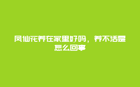 凤仙花养在家里好吗，养不活是怎么回事