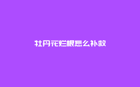 牡丹花烂根怎么补救