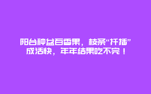 阳台种盆百香果，枝条“扦插”成活快，年年结果吃不完！