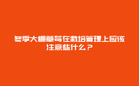 冬季大棚草莓在栽培管理上应该注意些什么？