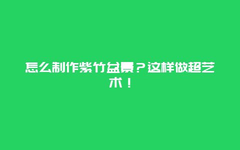 怎么制作紫竹盆景？这样做超艺术！