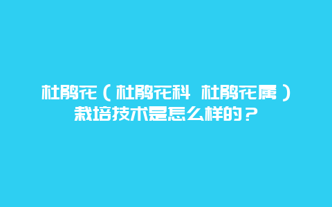 杜鹃花（杜鹃花科 杜鹃花属）栽培技术是怎么样的？