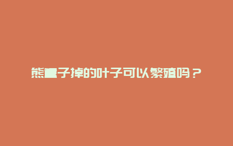 熊童子掉的叶子可以繁殖吗？