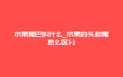 水果尾巴叫什么_水果的头和尾怎么区分