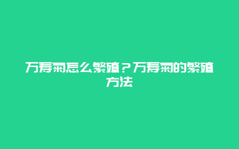 万寿菊怎么繁殖？万寿菊的繁殖方法