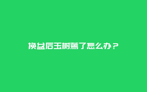 换盆后玉树蔫了怎么办？