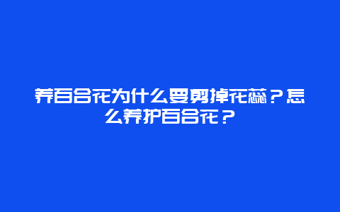 养百合花为什么要剪掉花蕊？怎么养护百合花？