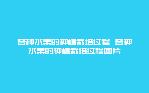 各种水果的种植栽培过程 各种水果的种植栽培过程图片