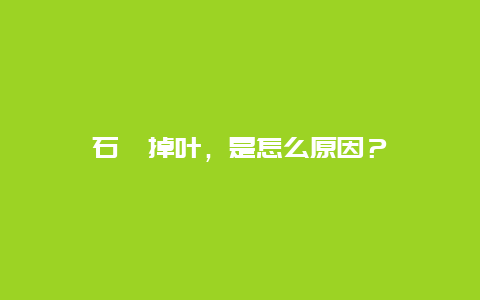 石斛掉叶，是怎么原因？