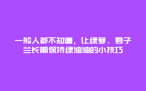 一般人都不知道，让绿萝、君子兰长期保持绿油油的小技巧